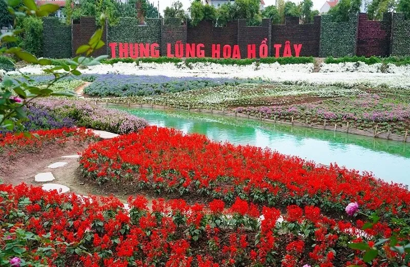 Đến Hồ Tây ngắm cảnh đẹp có một không hai giữa lòng thủ đô