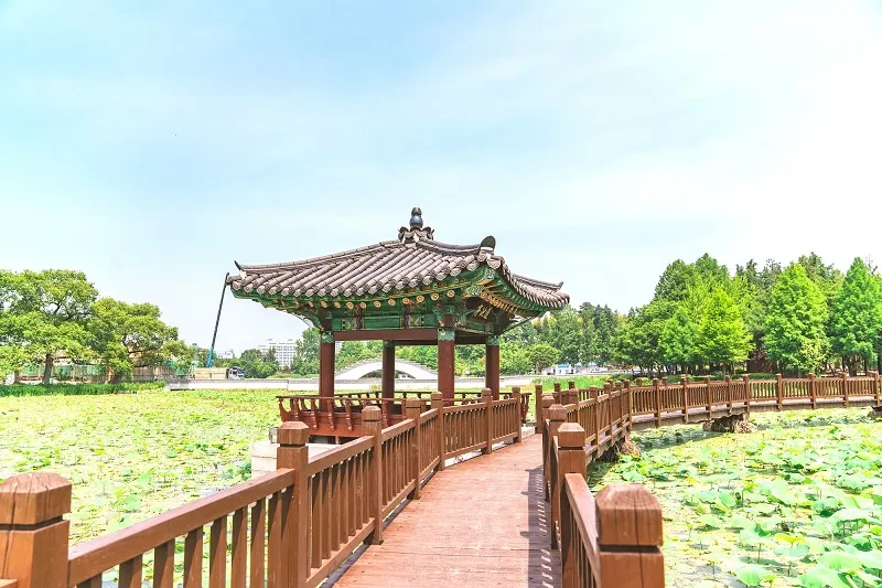 Đến Jeonju tận hưởng nhịp sống chậm tại thủ đô văn hóa Hàn Quốc