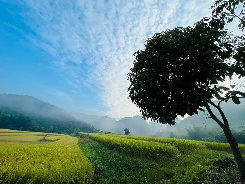 Đến Kỳ Thượng để chiêm ngắm cảnh sắc yên bình của làng người Dao