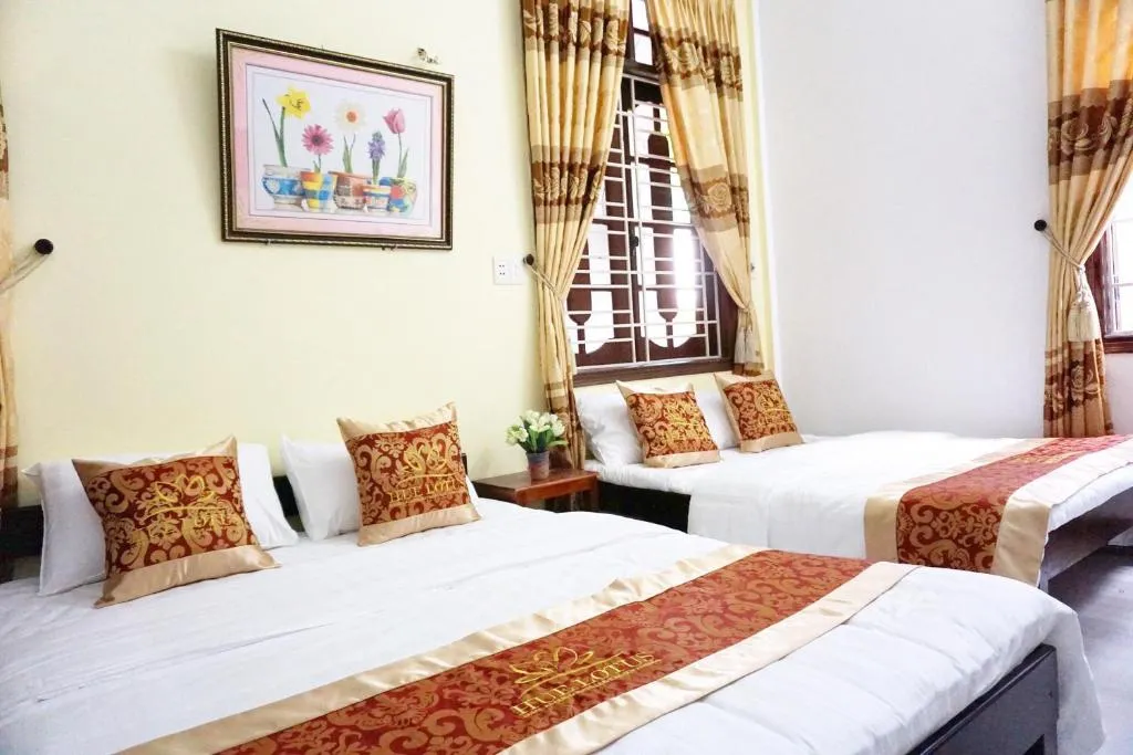 Đến Lotus house homestay Huế khám phá ngôi nhà nhỏ mang nét đẹp bình yên