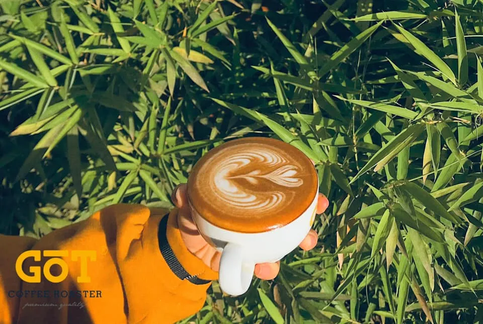 Đến ngay GOT Coffee Bảo Lộc nghe kề về câu chuyện cà phê sạch