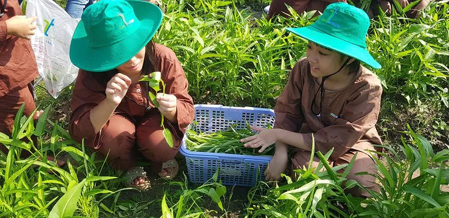 Đến nông trại Nam Trạng, trải nghiệm một ngày làm nông dân