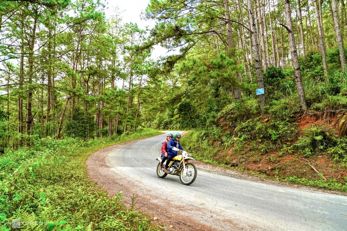 Đến rừng thông Măng Đen trải nghiệm ‘Đà Lạt thứ hai’ nơi Tây Nguyên đại ngàn