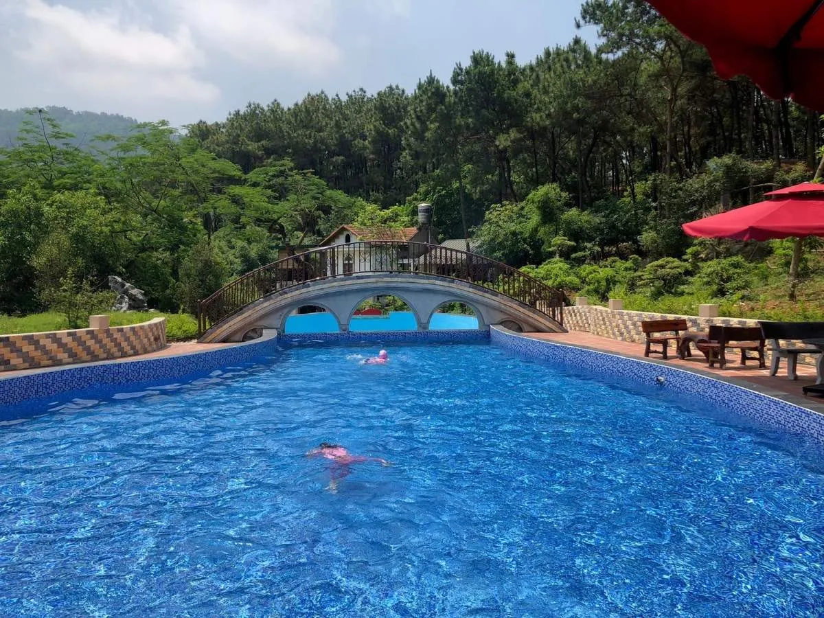 Đến Rừng Thông Xanh Resort để cảm nhận khoảng không gian bình yên