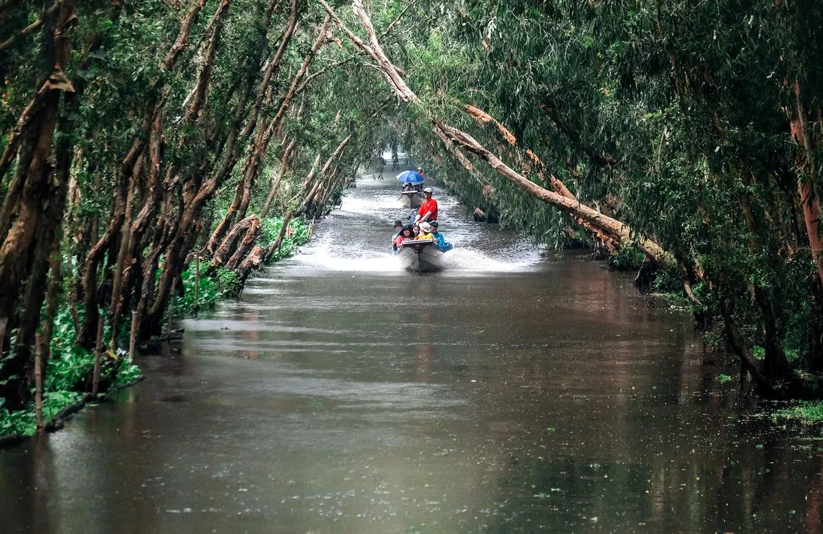 Đến Rừng Tràm Trà Sư, chìm đắm trong vẻ đẹp xanh mướt mắt