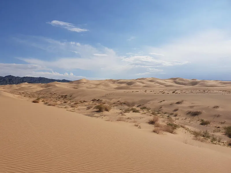 Đến sa mạc Gobi hòa mình vào thiên nhiên hoang dã đầy kỳ thú