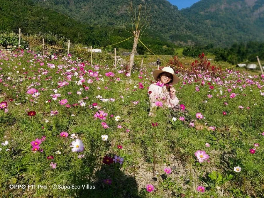 Đến Sapa Sisi Homestay để tận hưởng cảm giác bình yên trong tâm hồn