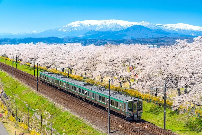 Đến Tohoku, khám phá 13 địa danh nổi tiếng