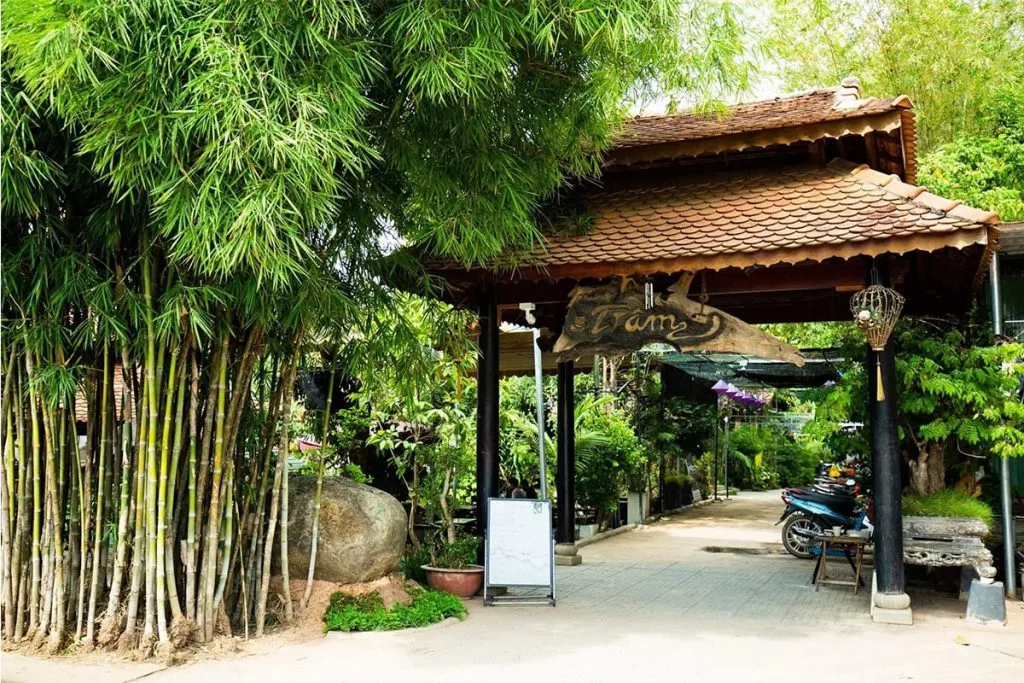 Đến Trầm Koi Garden Coffee tận hưởng không gian nhà vườn an tĩnh