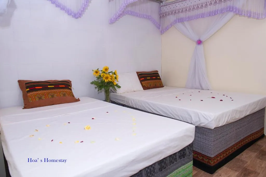 Đến với Hoa’s homestay Sapa để lạc trôi giữa trời mây Tây Bắc