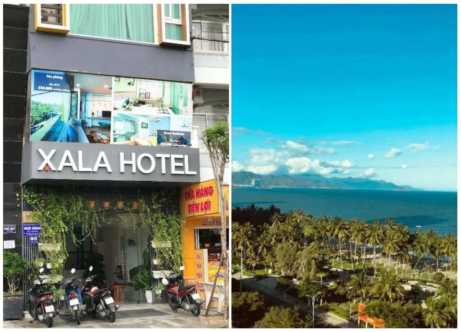 Đến Xala Boutique Hotel Nha Trang hòa mình vào không gian xanh