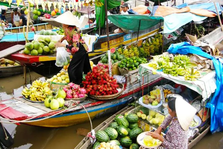 Đi Năm Căn Cà Mau có gì chơi, tất tần tật kinh nghiệm nên bỏ túi