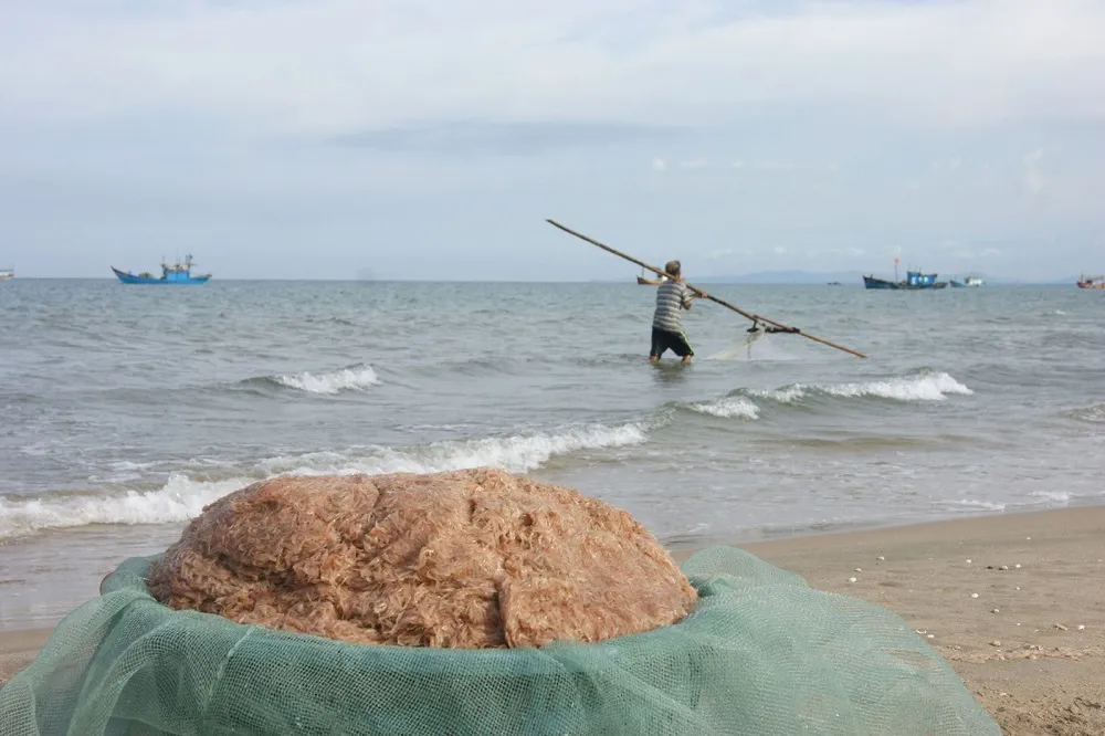 Đi Quảng Bình mua gì làm quà vừa ngon vừa rẻ