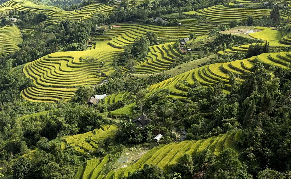 Di sản ruộng bậc thang Hoàng Su Phì – Kiệt tác đất Hà Giang