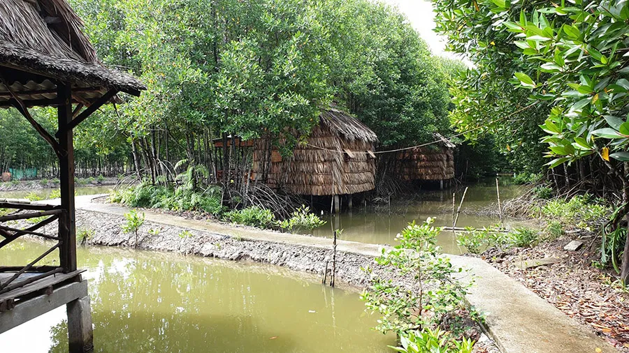 Điểm dừng chân du lịch Tư Tỵ Rạch Gốc và cảnh quan thiên nhiên tuyệt đẹp