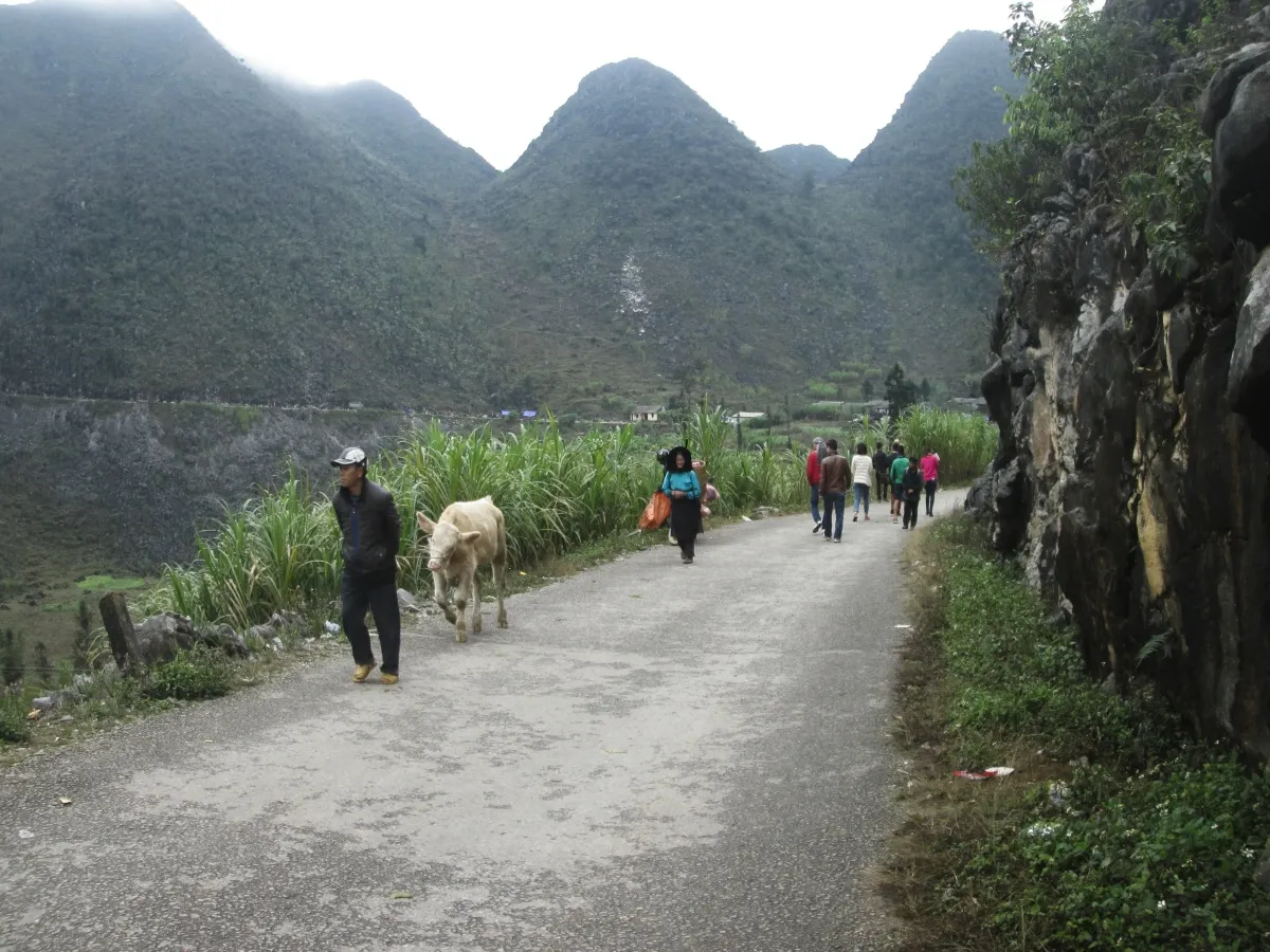 Điểm qua một vài kinh nghiệm khám phá Dinh thự họ Vương ở Hà Giang