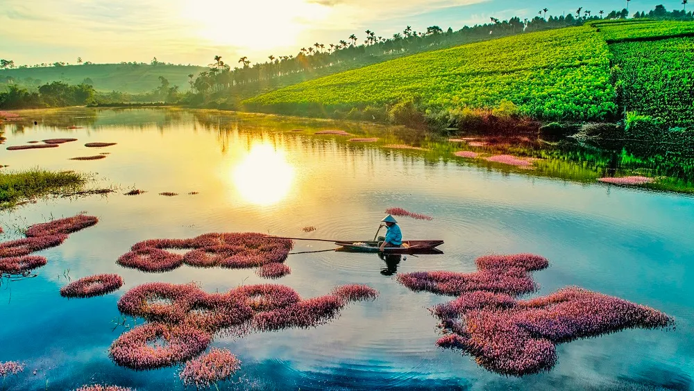 Độc đáo Hồ tảo hồng ở B’lao đẹp như tranh tại Lâm Đồng