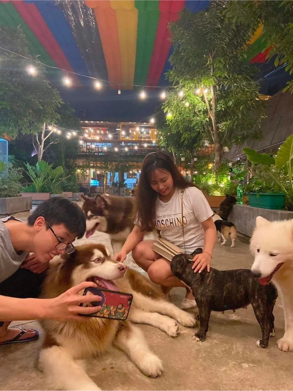 Đổi gió với Royal Land Pet Store, không gian cà phê thú cưng cực chất