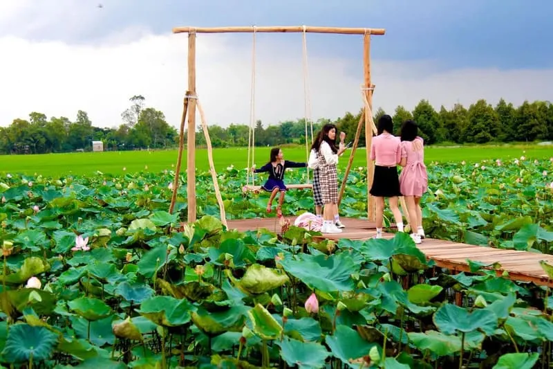 Đồng Sen Tháp Mười, vùng đất ngát hương của loài hoa thanh khiết