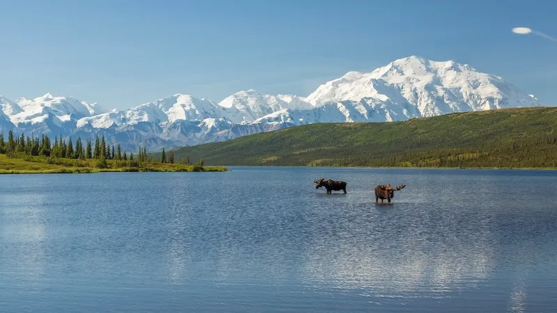 Du lịch Alaska, thiên đường băng với các trải nghiệm thú vị