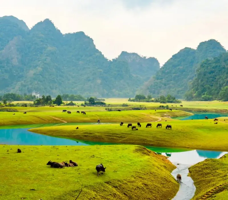 Du lịch Bắc Sơn, khám phá thung lũng vàng giữa lòng Lạng Sơn