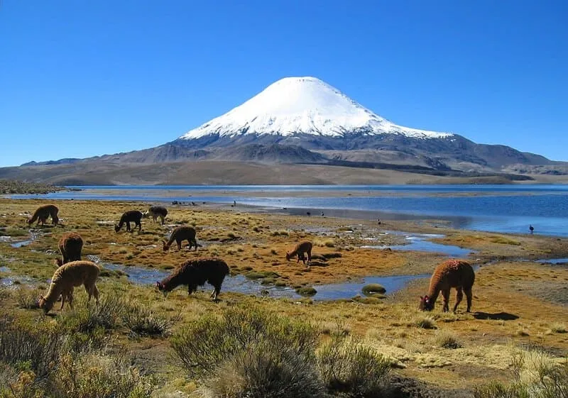 Du lịch Chile, khám phá dấu ấn Mỹ Latinh cổ đại