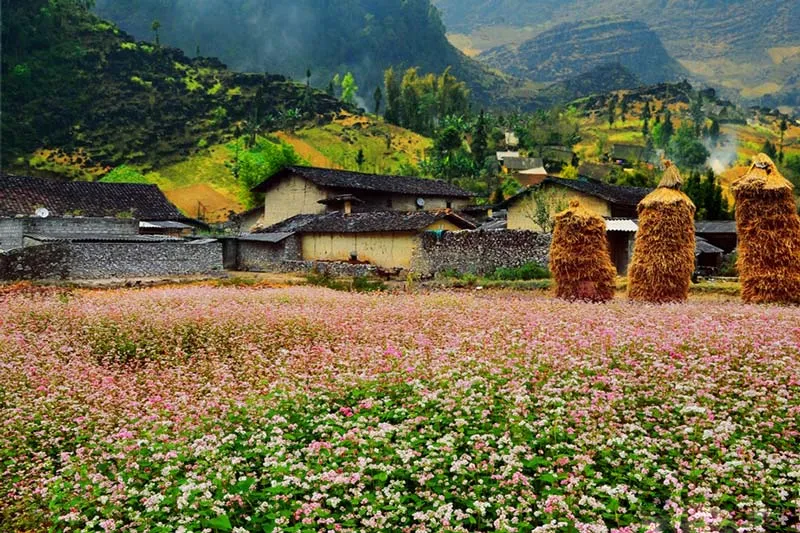 Du lịch Đông Bắc và 10 địa điểm tham quan bạn không thể bỏ lỡ