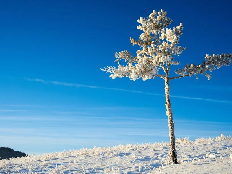 Du lịch Kazakhstan, nơi vó ngựa tung hoành trên thảo nguyên