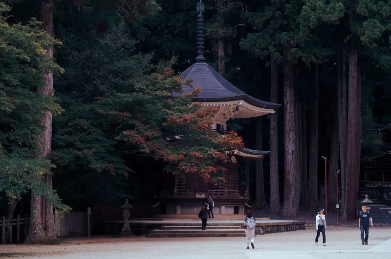 Du lịch Kyoto, khám phá cố đô đậm truyền thống lịch sử