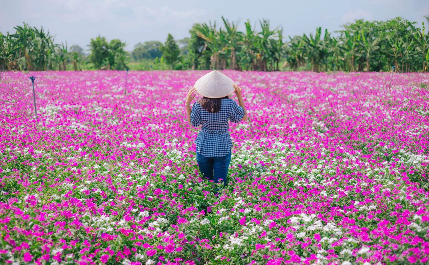 Du lịch Phú Tân An Giang khám phá khu sinh thái đầy thú vị