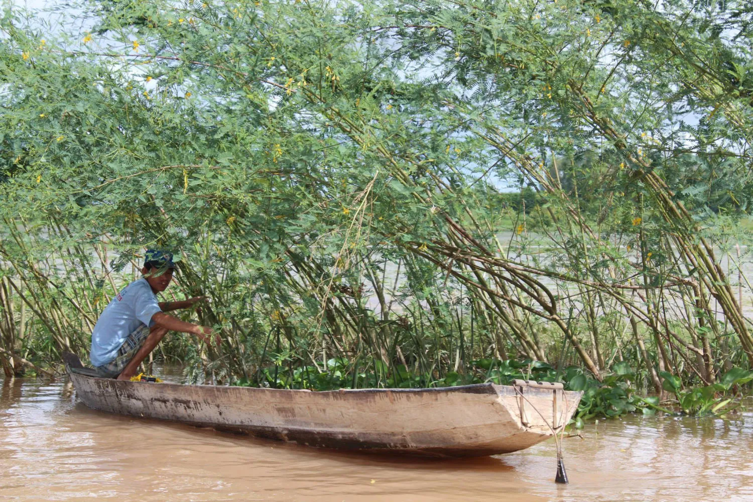 Du lịch Phú Tân An Giang khám phá khu sinh thái đầy thú vị