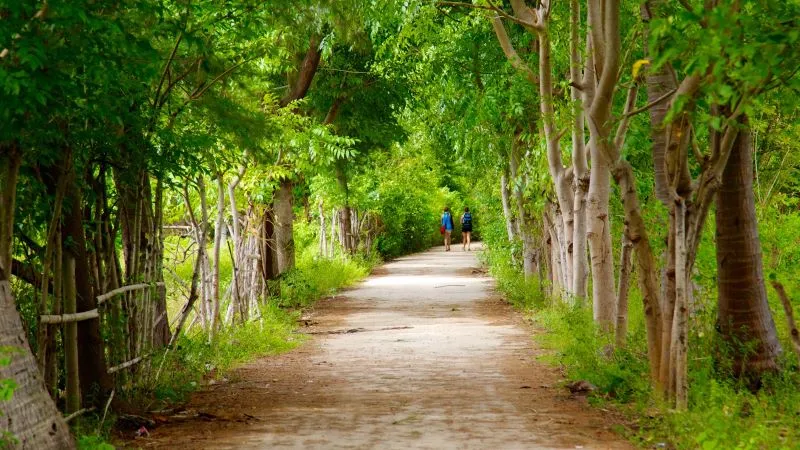 Du ngoạn đảo Gili Trawangan xinh đẹp cùng nhịp sống bình dị