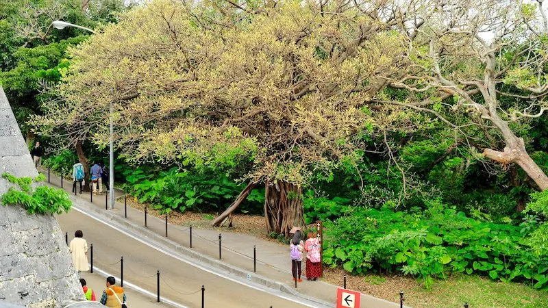 Du ngoạn đảo Okinawa, chinh phục viên ngọc quý ngoài khơi Nhật Bản