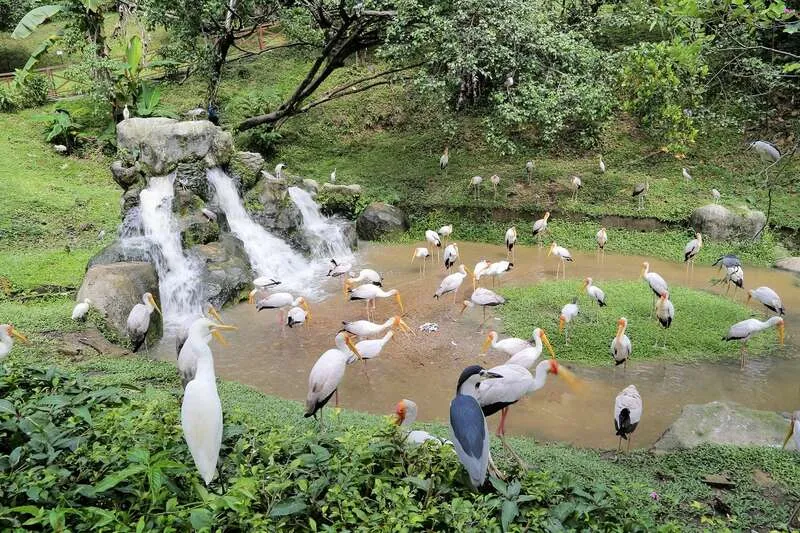 Du ngoạn Kuala Lumpur khám phá sắc màu văn hóa độc đáo tại Malaysia