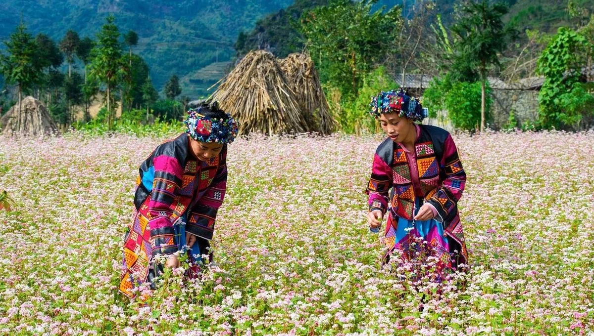 Đúc kết kinh nghiệm đi du lịch Mèo Vạc – Hà Giang, vui chơi quên lối về