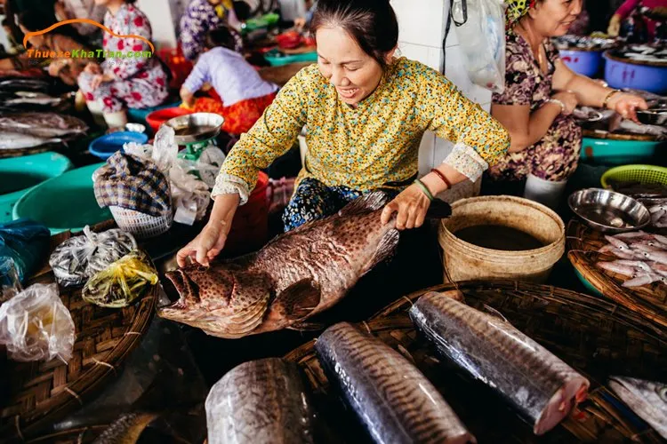 Đừng bỏ qua kinh nghiệm mua hải sản Nha Trang chất lượng