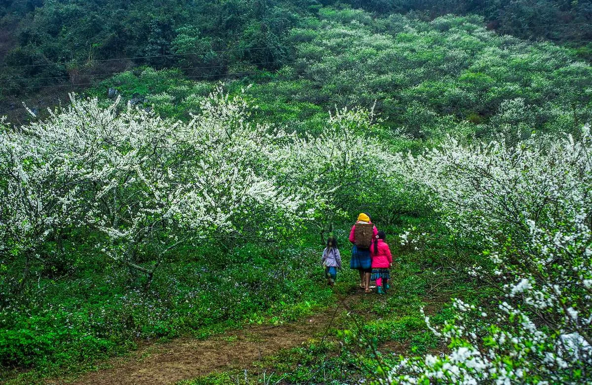 Đường lên cổng trời Sapa – Nơi thiên đường trong mây đại ngàn