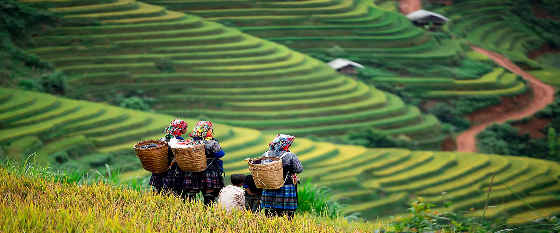 Đường lên cổng trời Sapa – Nơi thiên đường trong mây đại ngàn