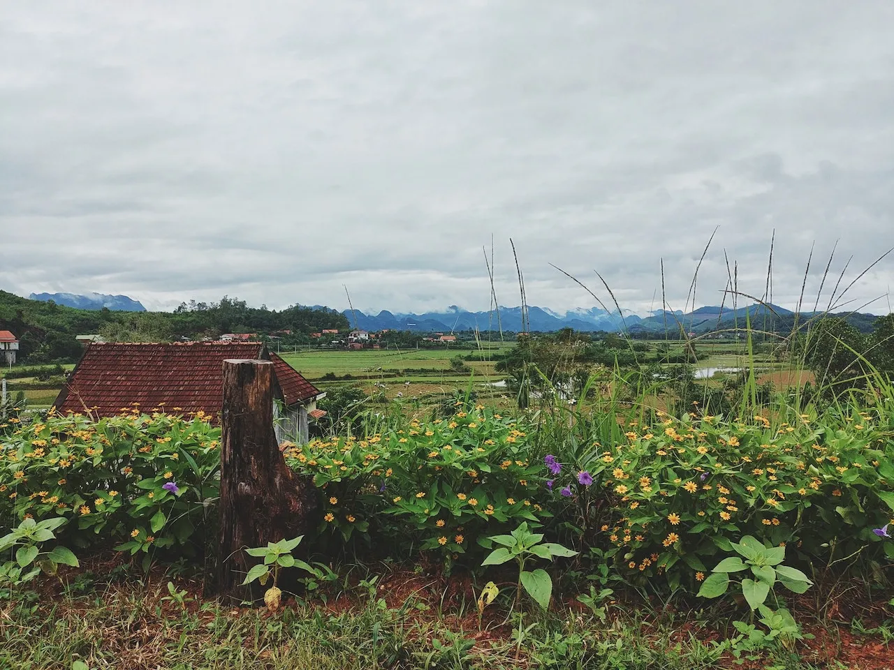 East Hill Phong Nha Quảng Bình, nơi chỉ có ta và thiên nhiên yên bình