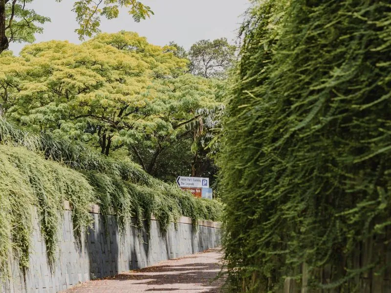 Fort Canning Park, công viên sống ảo đặc sắc nhất đảo sư tử