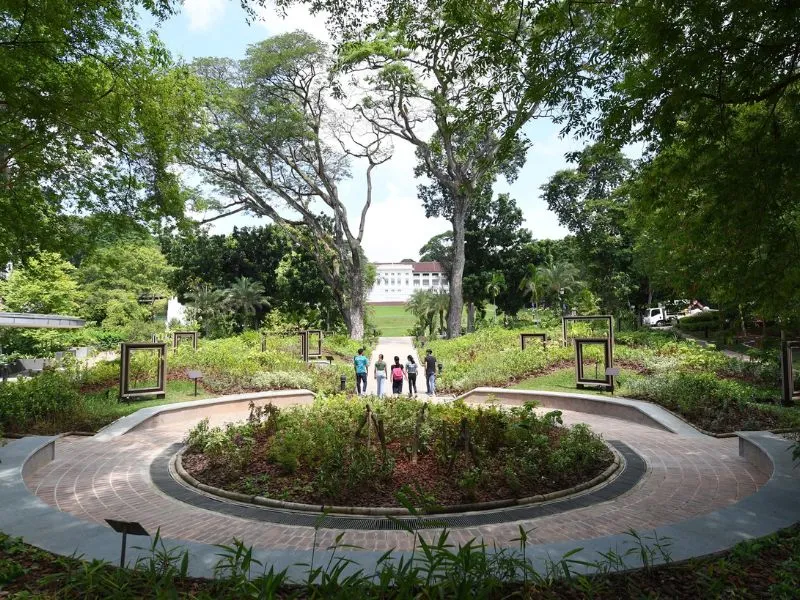 Fort Canning Park, công viên sống ảo đặc sắc nhất đảo sư tử