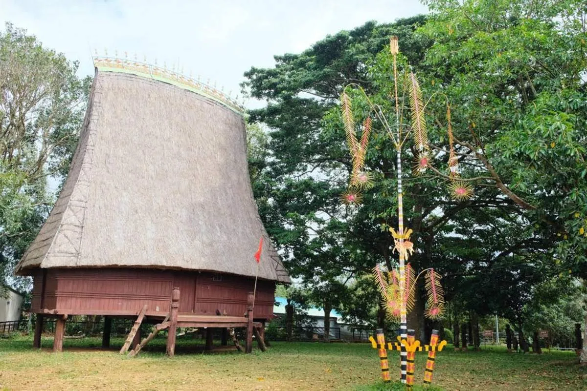 Gà xông khói Jơ Rai, đặc sản phố núi phải thử một lần ở Gia Lai