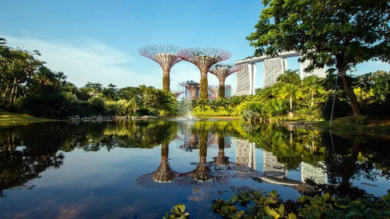 Gardens by the Bay, vườn nhân tạo quy mô khủng tại Singapore