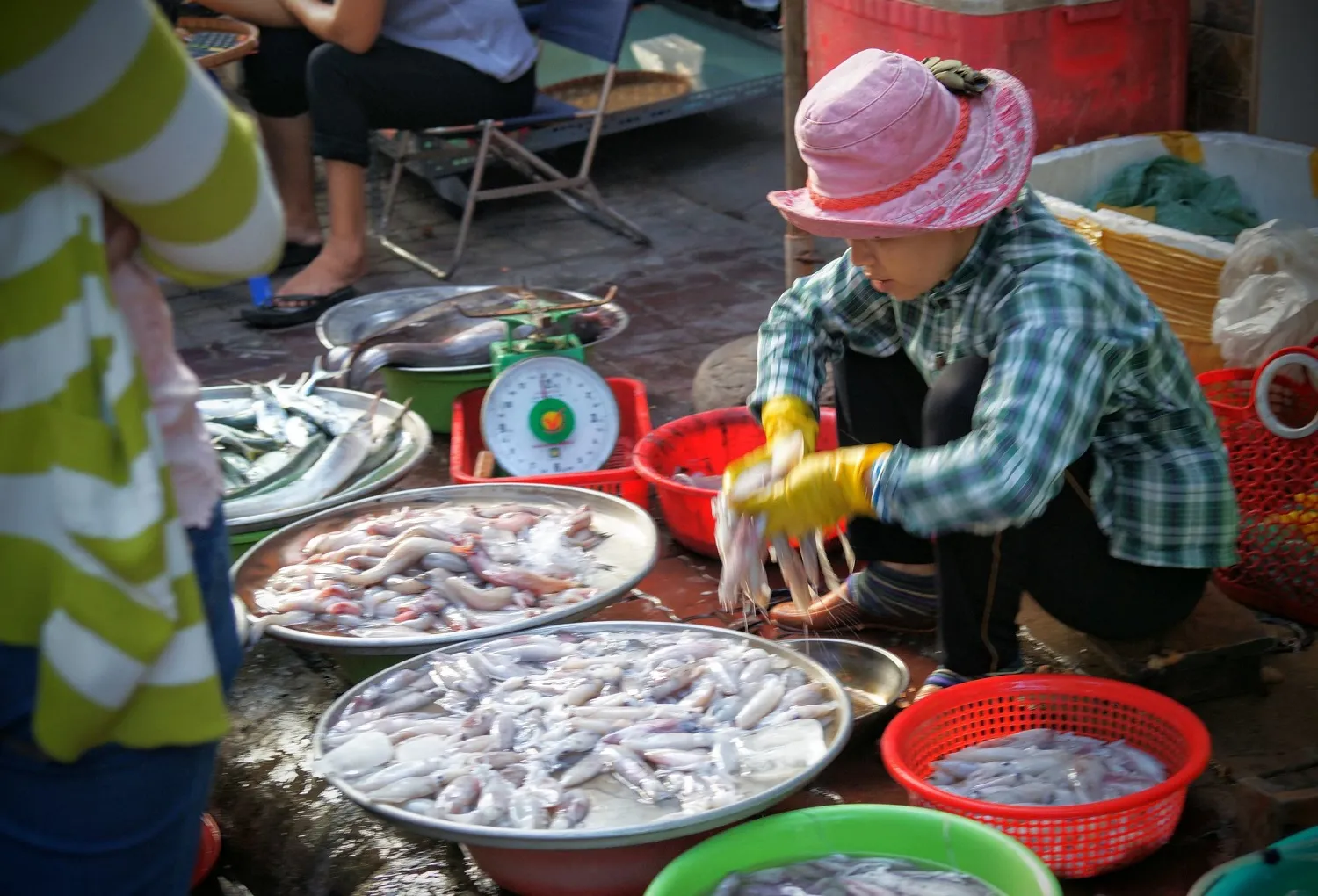 Ghé chợ Xóm Lưới Vũng Tàu rồi mình cùng rinh cả thế giới hải sản tươi ngon về nhà nhé!