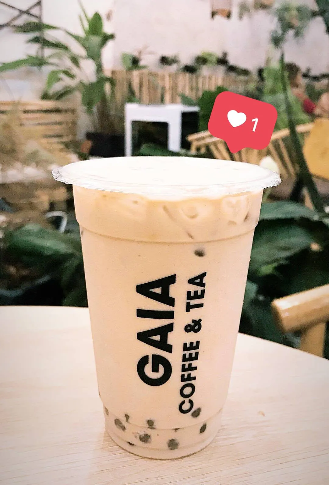 Ghé GAIA Coffee & Tea thưởng thức hương vị trà sữa đậm đà