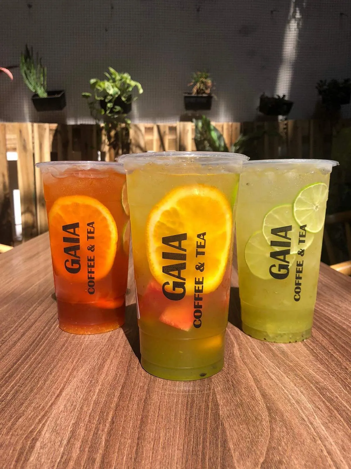 Ghé GAIA Coffee & Tea thưởng thức hương vị trà sữa đậm đà