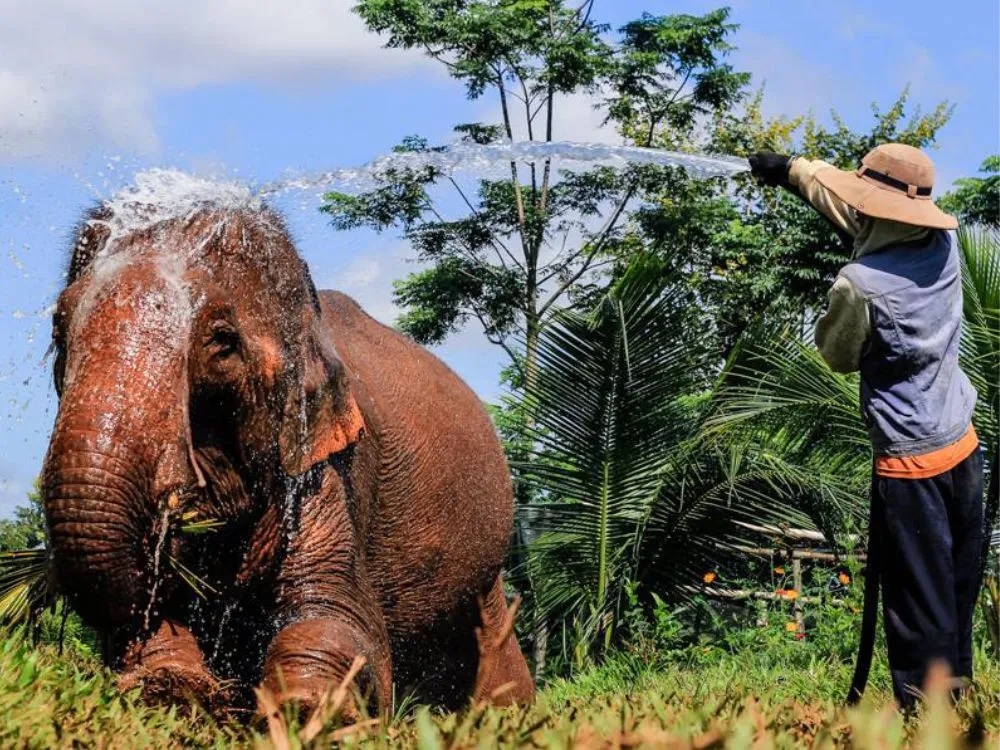 Ghé lại thăm Người Buôn Đôn vừa đáng yêu lại đáng gặp gỡ