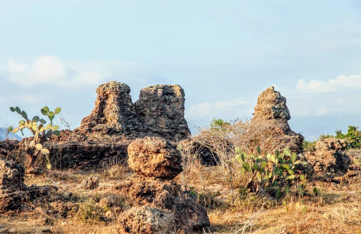 Ghé thăm bãi đá Karang Ninh Thuận, bãi san hô cổ vô giá hàng triệu năm