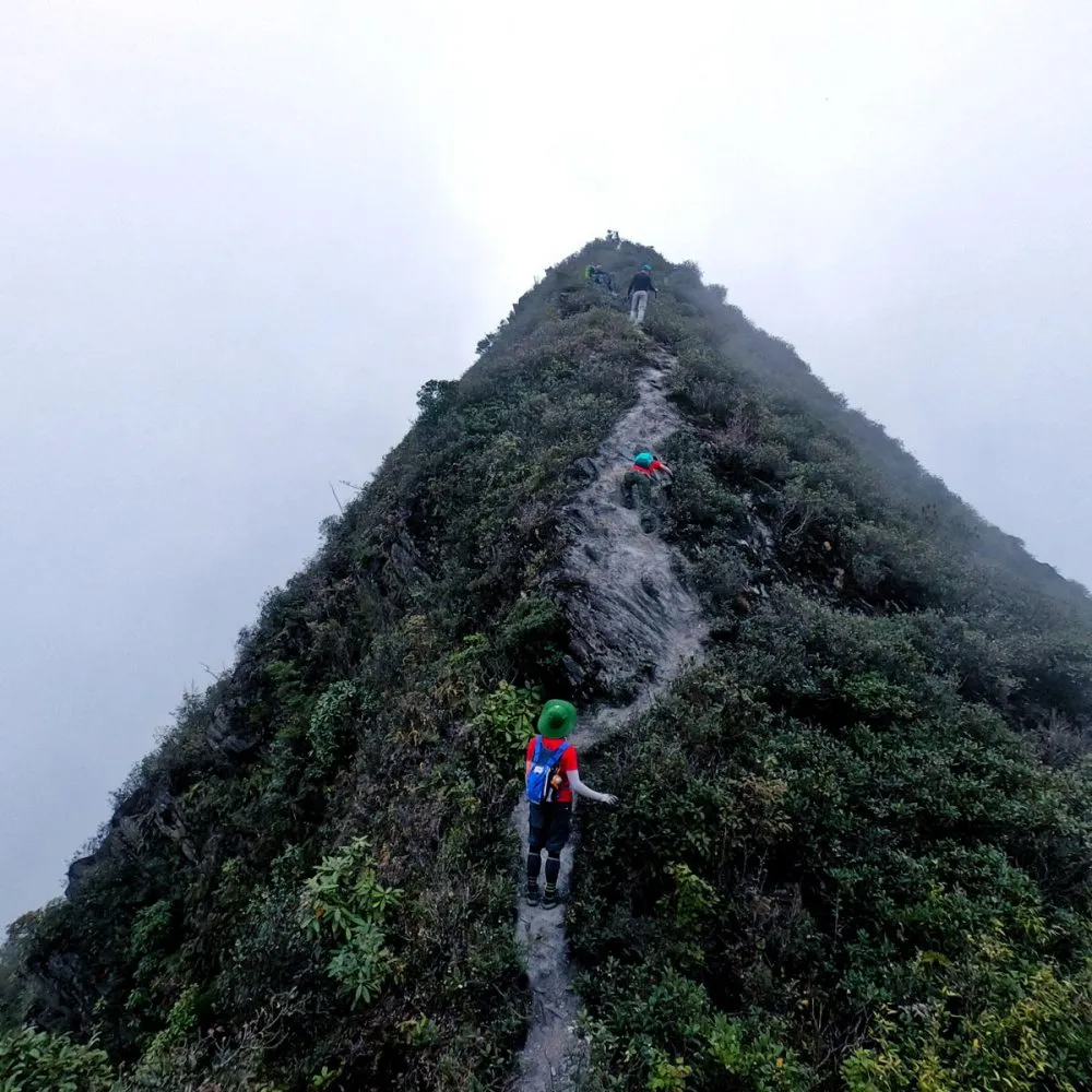 Ghim liền tay Kinh nghiệm trekking Tà Xùa – Yên Bái dành cho team mê phượt