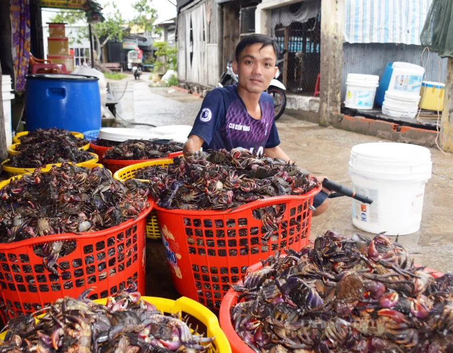 Giải mã từ Sài Gòn tới Cà Mau bao nhiêu km cùng team MIA.vn